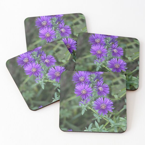 Aperçu de l'œuvre Asters violets fleurissant en automne créée et vendue par JariHawk.