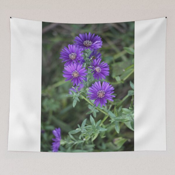 Item preview, Asters púrpura floreciendo en otoño designed and sold by JariHawk.