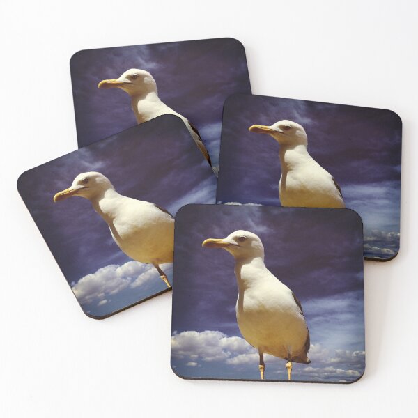 Item preview, Inquisitive seagull designed and sold by Christine Mignon.