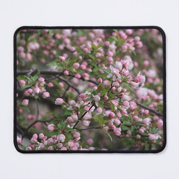 Item preview, Beautiful Branch of Spring Time Pink Cherry Blossoms designed and sold by JariHawk.