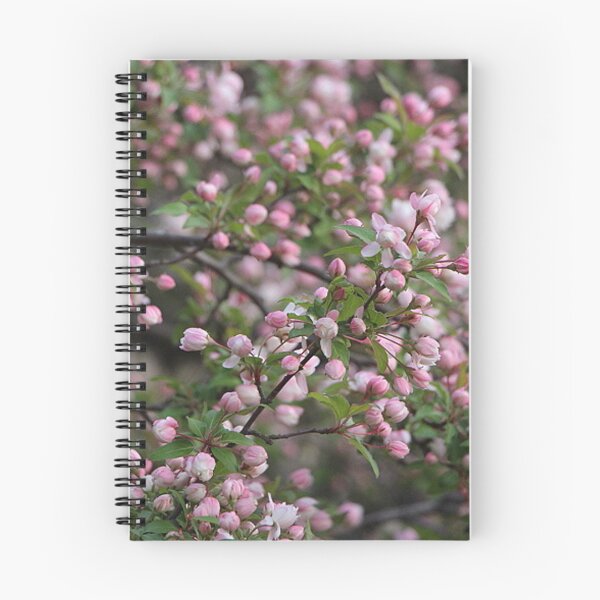 Item preview, Beautiful Branch of Spring Time Pink Cherry Blossoms designed and sold by JariHawk.