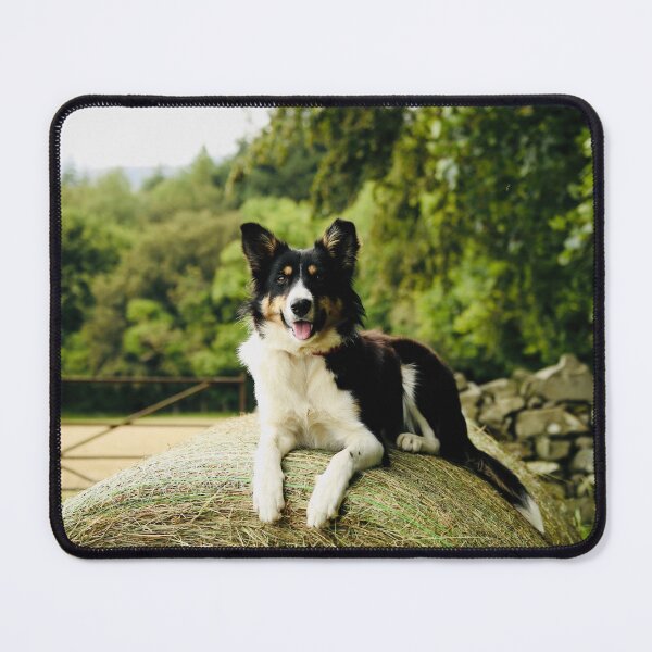 Item preview, Susan on a Bale designed and sold by thegreendogs.