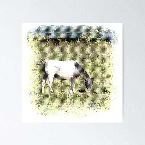 Artikelvorschau, Ein Pferd, Weiden, Foto mit Needlepoint-Effekt. entworfen und verkauft von DianeBP.