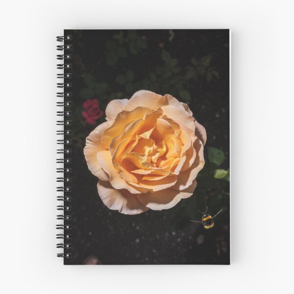 Item preview, The Walled Garden #14 designed and sold by jonny hughes.