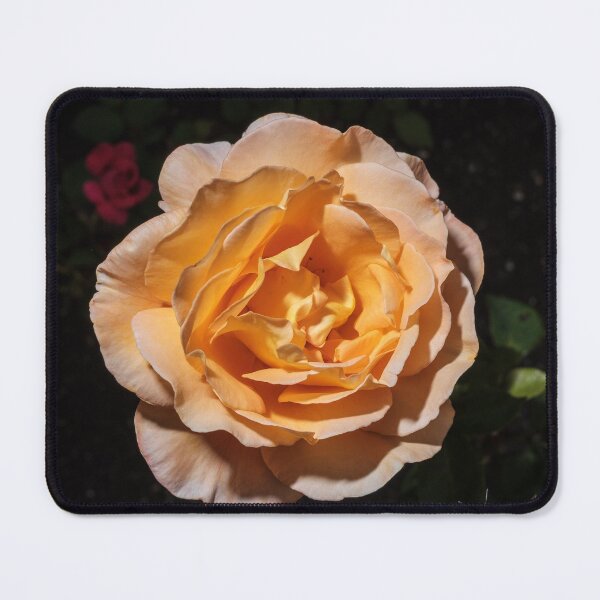 Item preview, The Walled Garden #14 designed and sold by jonny hughes.