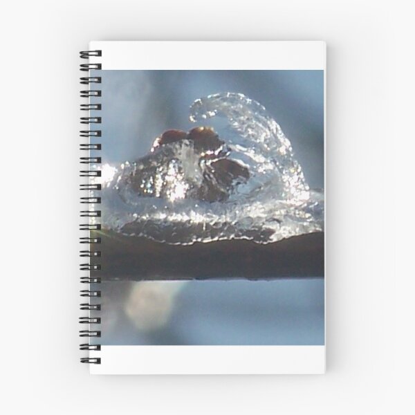 Item preview, Iced Bud designed and sold by Timothy Bruns.