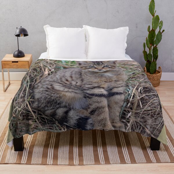 Item preview, An Adorable Scottish Wildcat Kitten designed and sold by Karen Thomson.