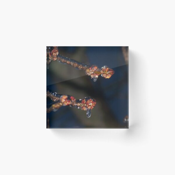 Item preview, Spring on Ice designed and sold by Timothy Bruns.