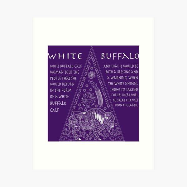 ørn skøn Populær Bison Vs Buffalo Art Prints | Redbubble
