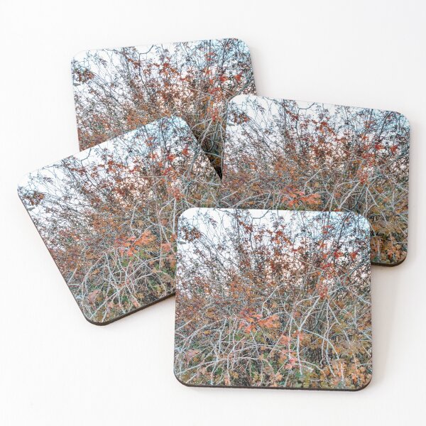 Item preview, Cool filter rose bush designed and sold by TheBurningFlame.
