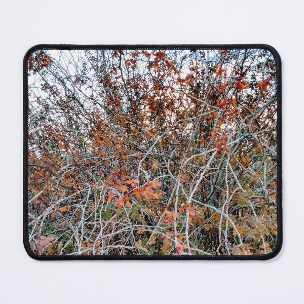 Item preview, Cool filter rose bush designed and sold by TheBurningFlame.