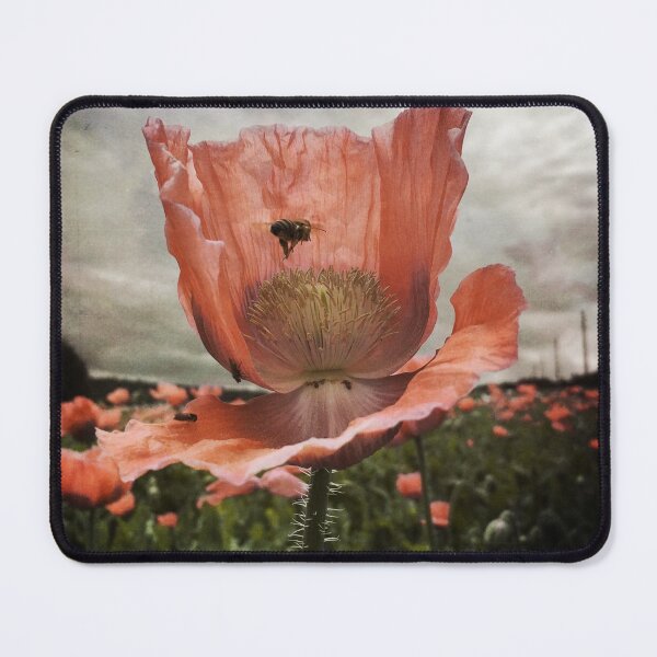 Item preview, Bee approach designed and sold by Christine Mignon.
