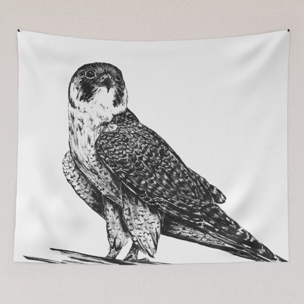 Item preview, Peregrine Falcon in Nankin ink designed and sold by just-art.