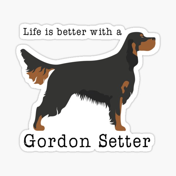 Gordon shop setter gifts