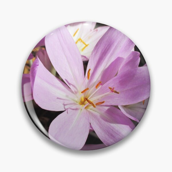 Item preview, Blooming autumn crocus - Delicate flowers in autumn designed and sold by un-artiges.