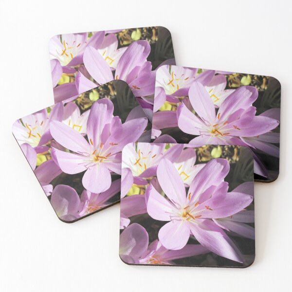 Item preview, Blooming autumn crocus - Delicate flowers in autumn designed and sold by un-artiges.