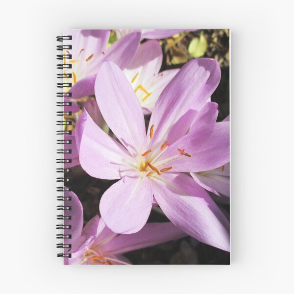 Item preview, Blooming autumn crocus - Delicate flowers in autumn designed and sold by un-artiges.