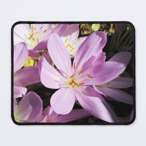 Item preview, Blooming autumn crocus - Delicate flowers in autumn designed and sold by un-artiges.