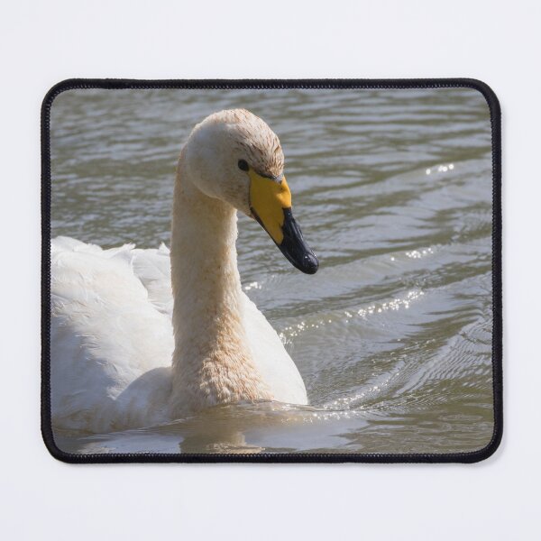 Item preview, Whooper Swan designed and sold by LaurenTucker.