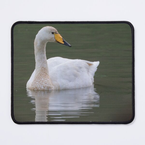 Item preview, Whooper Swan designed and sold by LaurenTucker.