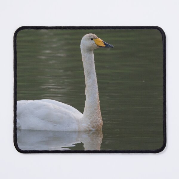 Item preview, Whooper Swan designed and sold by LaurenTucker.