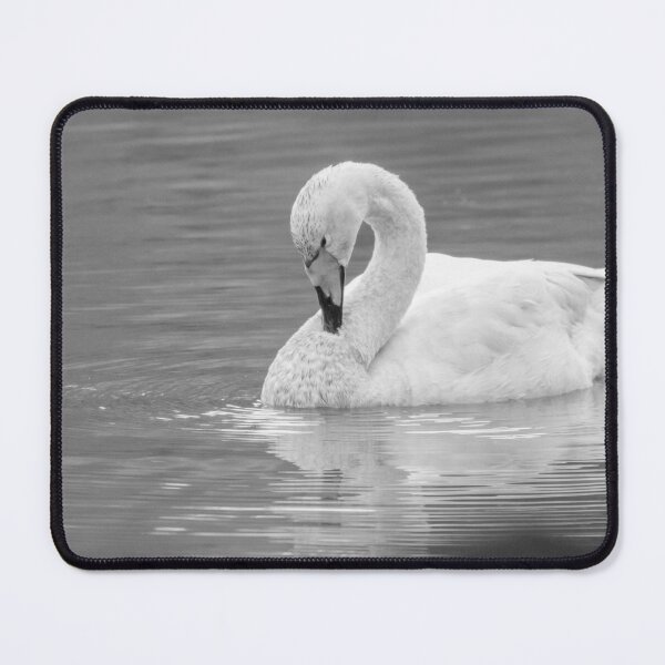 Item preview, Whooper Swan designed and sold by LaurenTucker.