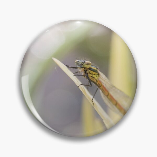 Item preview, Large Red Damselfly designed and sold by LaurenTucker.