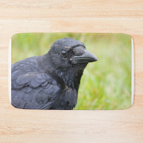 Item preview, Close up of a crow in a field designed and sold by RumRagephotos.