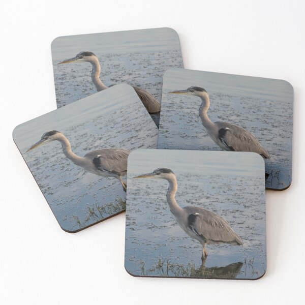 Item preview, Grey Heron stands in a pond designed and sold by RumRagephotos.