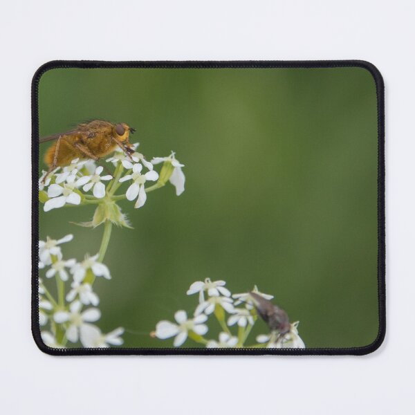 Item preview, Dung Fly designed and sold by LaurenTucker.