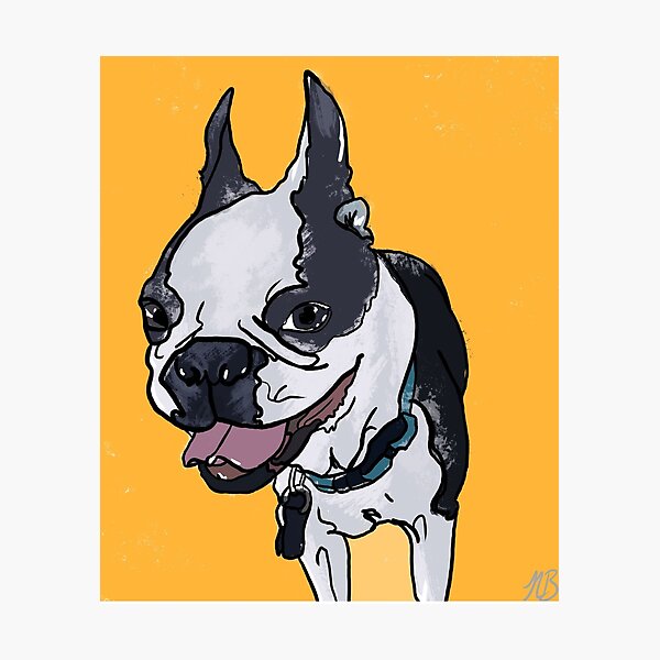 Item preview, Boston Terrier designed and sold by Natalie Baumgartner.