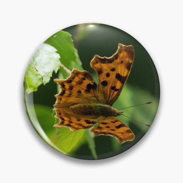 Item preview, Eastern Comma Butterfly on a leaf designed and sold by RumRagephotos.