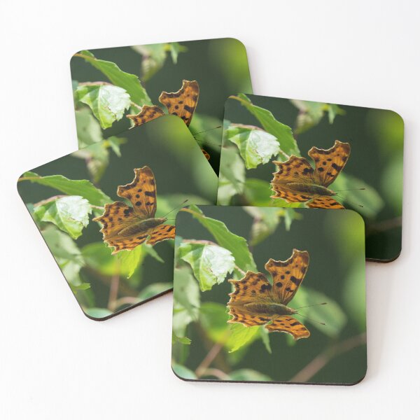 Item preview, Eastern Comma Butterfly on a leaf designed and sold by RumRagephotos.