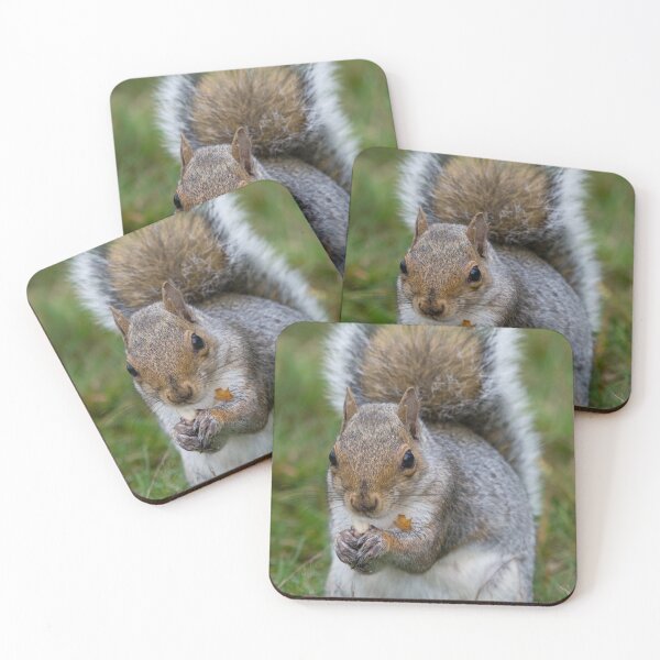 Item preview, Grey squirrel eats a peanut designed and sold by RumRagephotos.