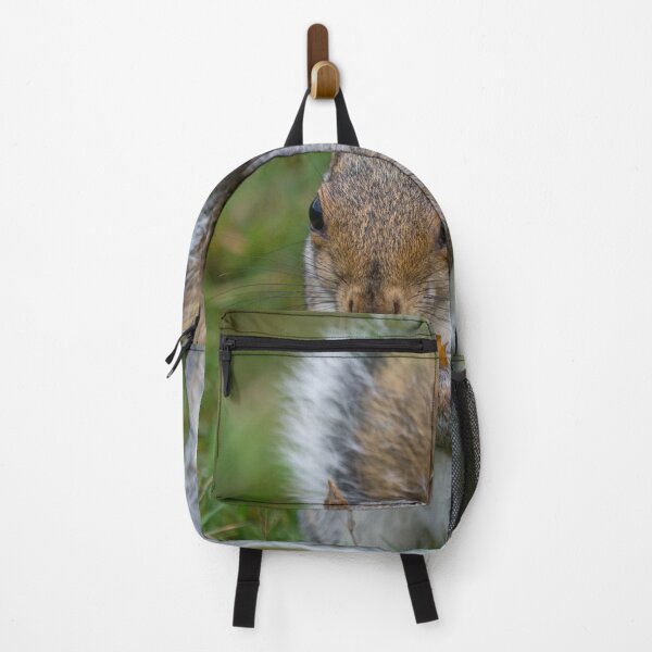 Item preview, Grey squirrel eats a peanut designed and sold by RumRagephotos.