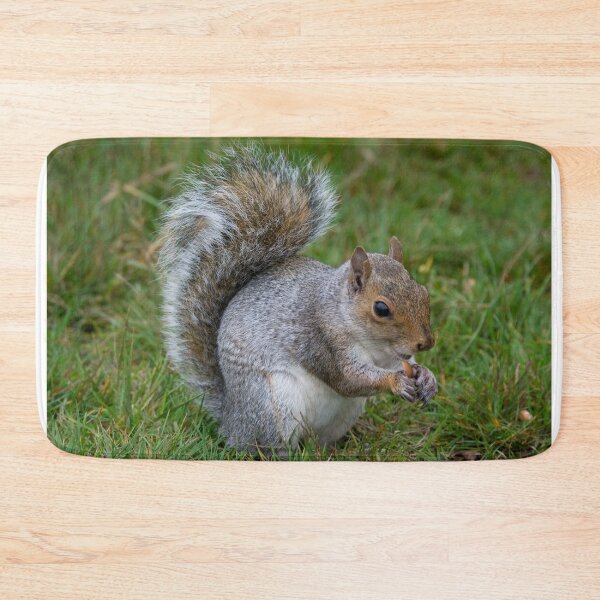 Item preview, Grey squirrel snacks on a peanut designed and sold by RumRagephotos.