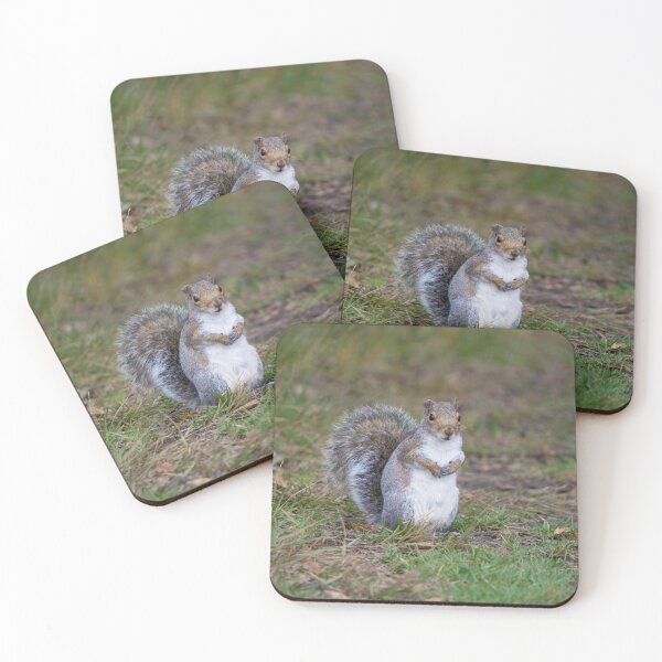 Item preview, Grey squirrel sits in the grass designed and sold by RumRagephotos.