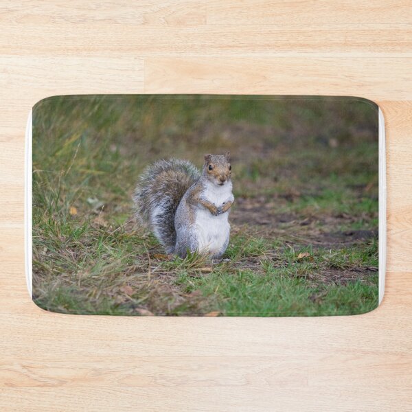 Item preview, Grey squirrel sits in the grass designed and sold by RumRagephotos.