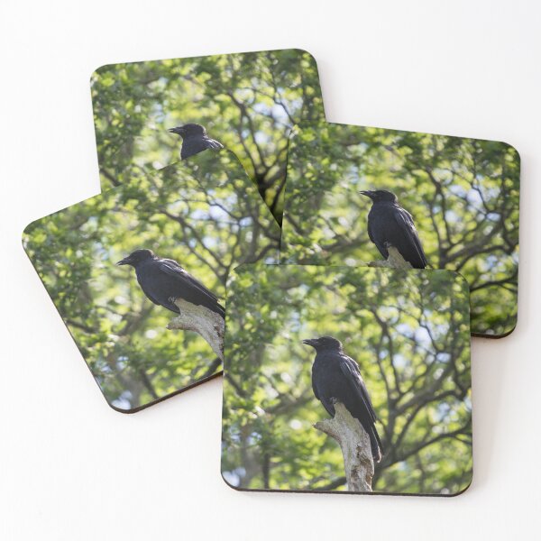 Item preview, A crow sits on top of a tree branch designed and sold by RumRagephotos.