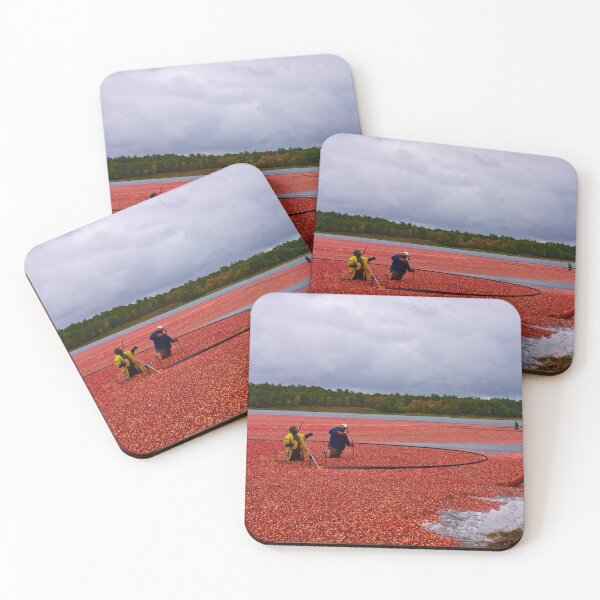Item preview, Harvesting cranberries for Thanksgiving designed and sold by Nancy Richard.