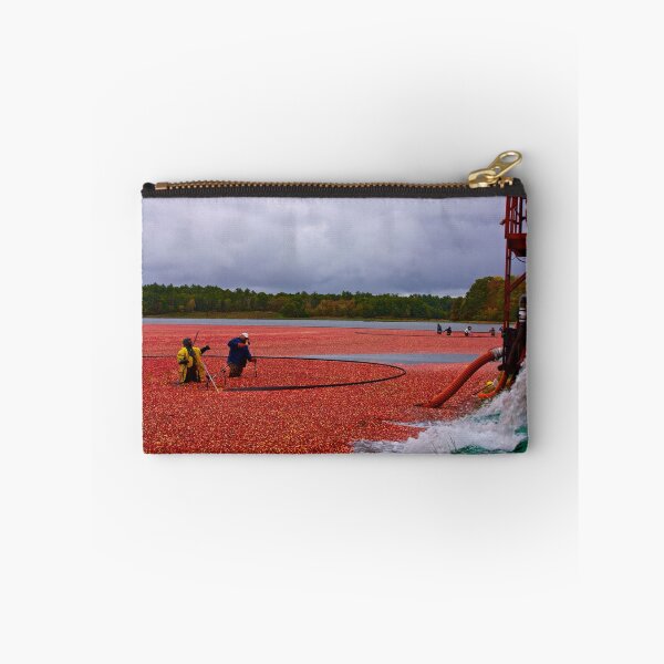 Item preview, Harvesting cranberries for Thanksgiving designed and sold by Nancy Richard.