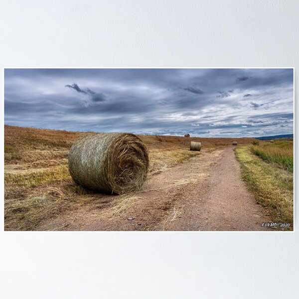 Item preview, Bales of Hay Along a Dirt Road designed and sold by kenmo.