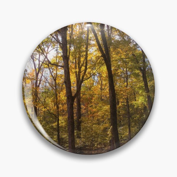 Artikelvorschau, Bakers Grove Trail im Herbst entworfen und verkauft von Thymely.