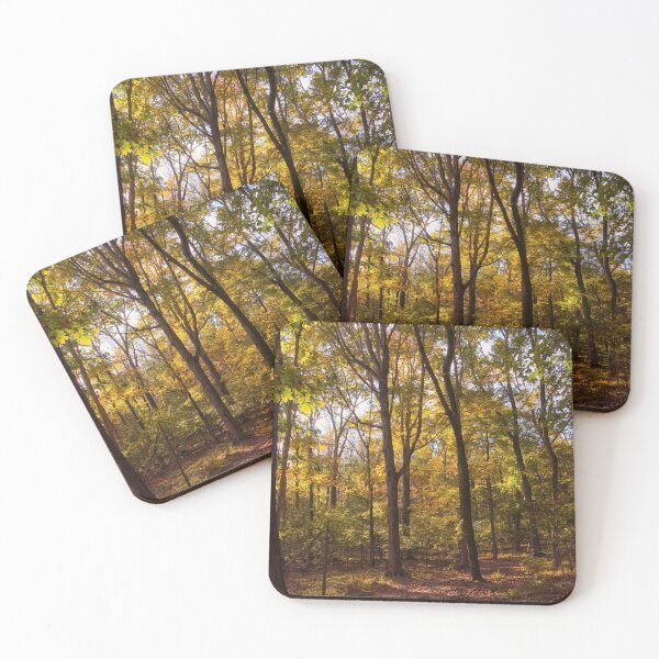Item preview, Bakers Grove Trail In Autumn designed and sold by Thymely.