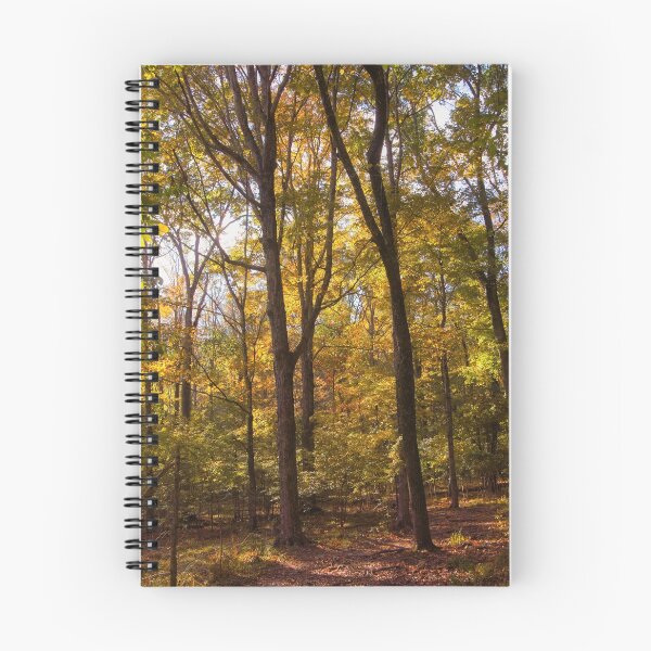 Artikelvorschau, Bakers Grove Trail im Herbst entworfen und verkauft von Thymely.