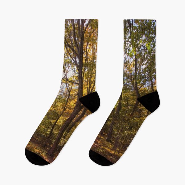 Item preview, Bakers Grove Trail In Autumn designed and sold by Thymely.