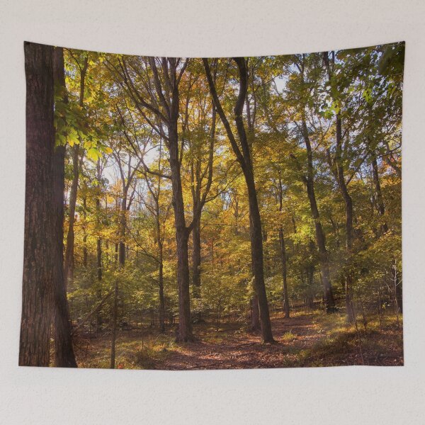 Item preview, Bakers Grove Trail In Autumn designed and sold by Thymely.