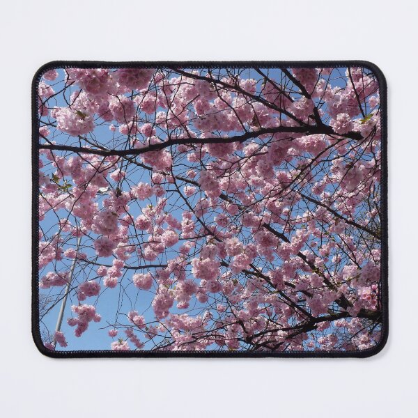 Item preview, Japanese cherry in full bloom designed and sold by un-artiges.