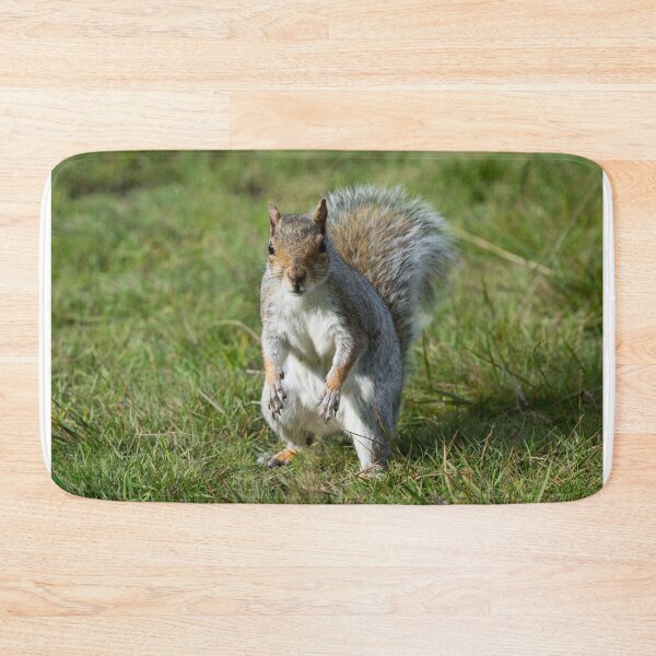 Item preview, A grey squirrel stands in the grass designed and sold by RumRagephotos.