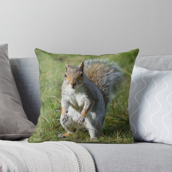 Item preview, A grey squirrel stands in the grass designed and sold by RumRagephotos.